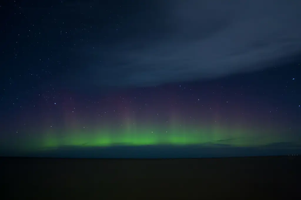 Gambar langit malam yang dipenuhi bintang