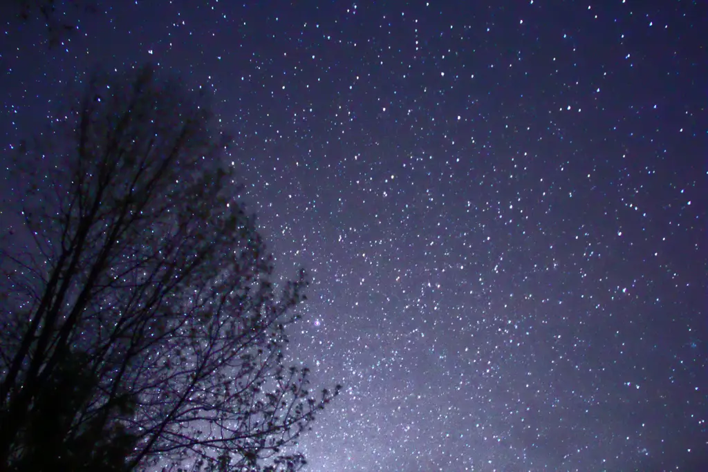 Gambar langit malam yang dipenuhi bintang-bintang.