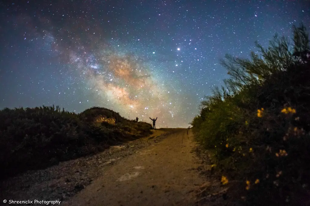 Langit malam yang dipenuhi bintang