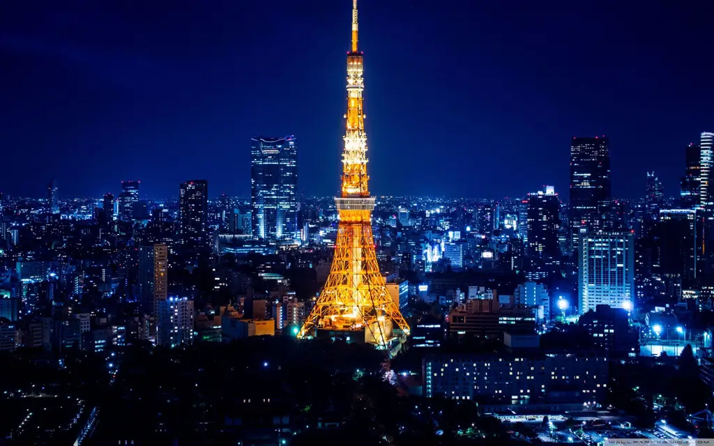 Pemandangan kota Tokyo di malam hari