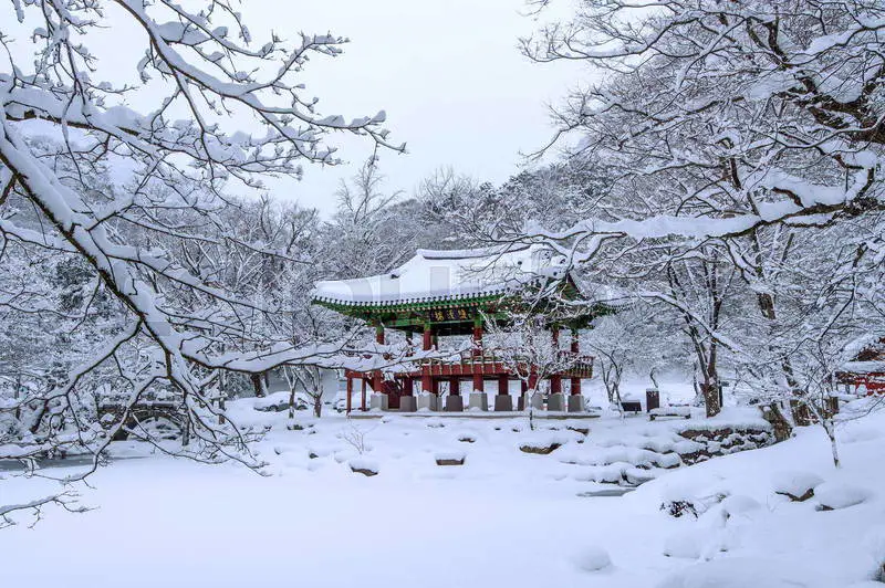 Pemandangan musim dingin di Korea dengan salju