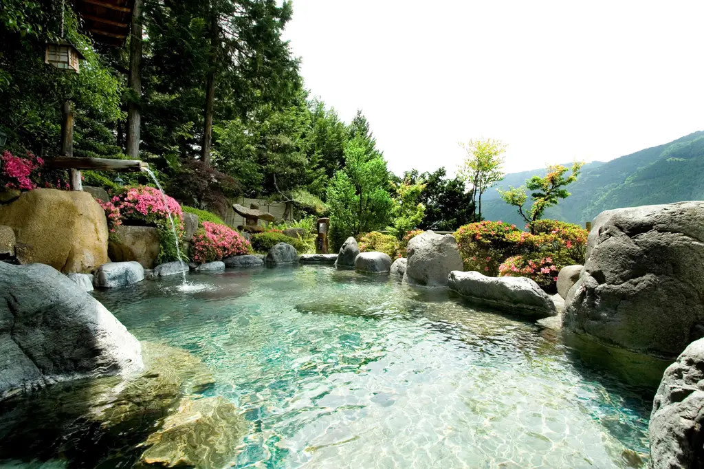 Gambar onsen tradisional Jepang dengan pemandangan alam yang indah