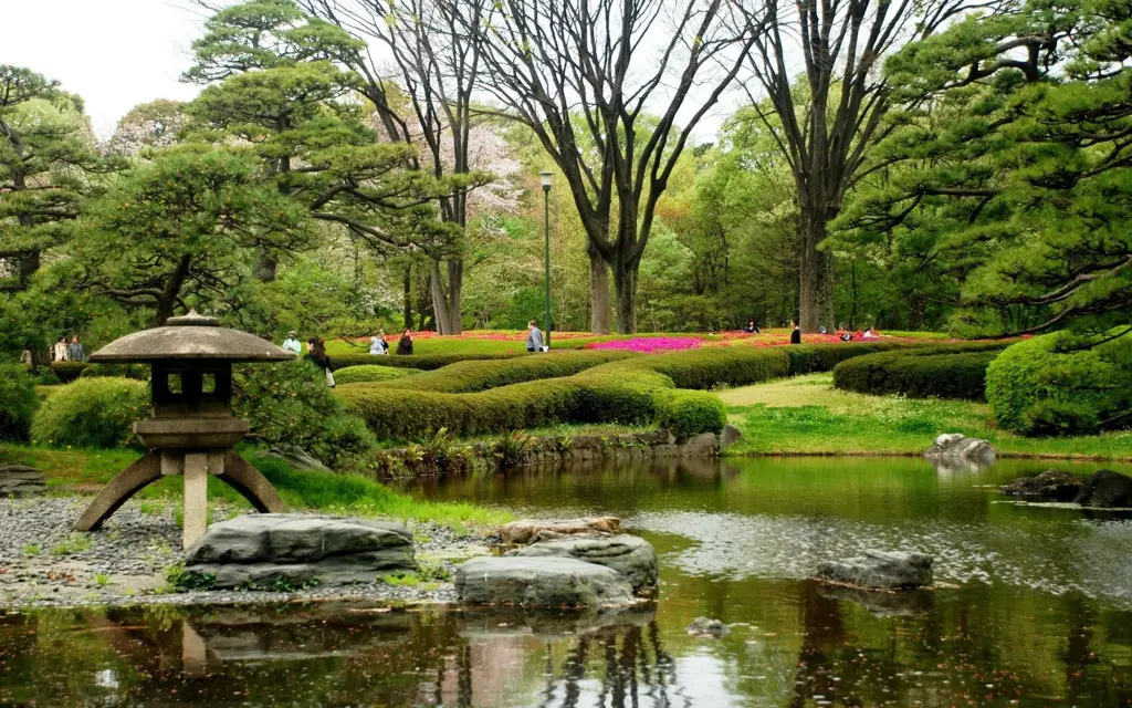 Taman bunga Jepang yang indah