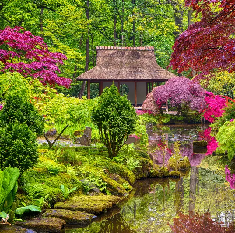 Taman Jepang yang indah dan tenang