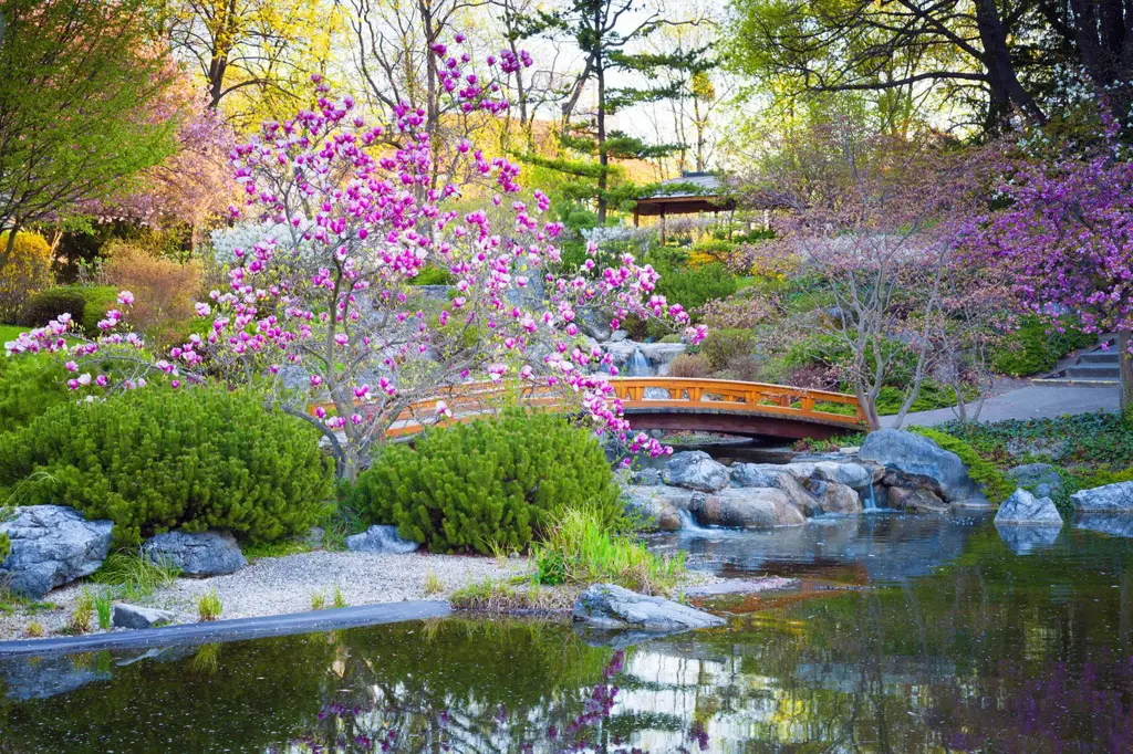 Taman Jepang dengan bunga putih