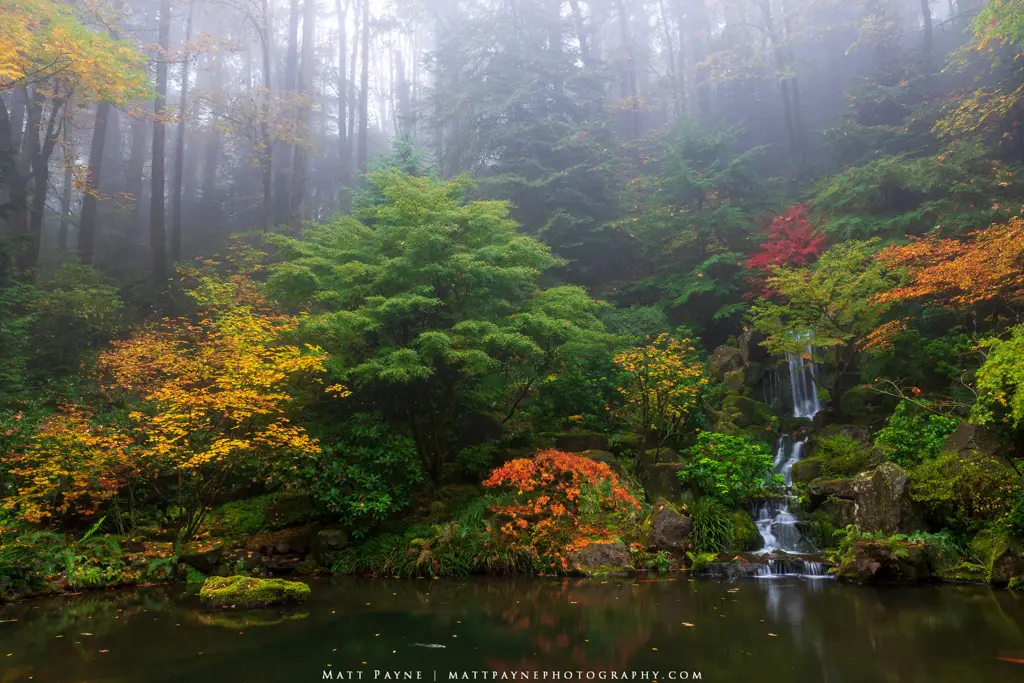 Gambar taman Jepang yang indah dan damai.