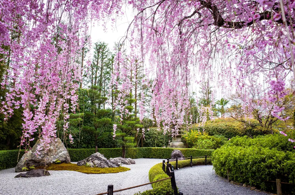 Gambar taman tradisional Jepang yang indah