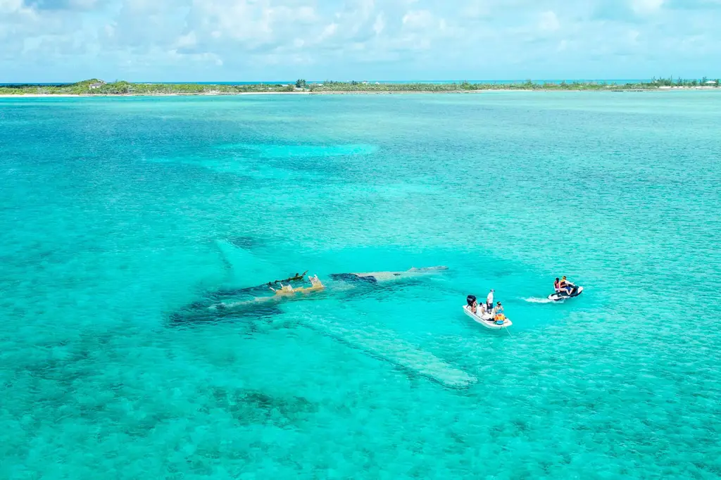 Pemandangan bawah laut Exuma yang menakjubkan dengan terumbu karang dan ikan berwarna-warni.