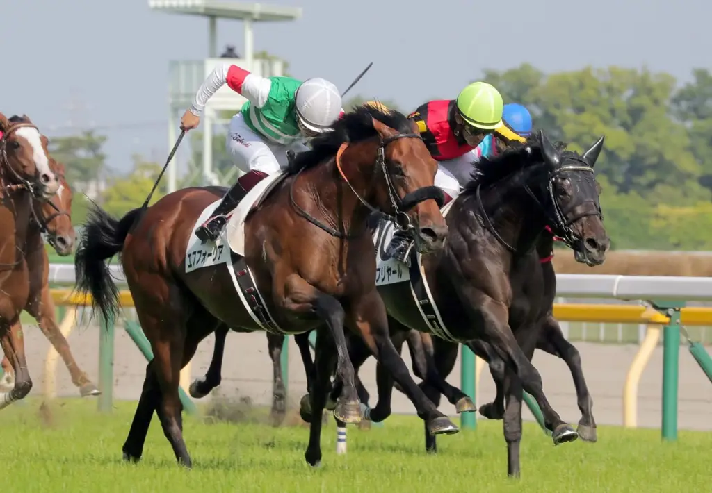 Kuda-kuda pacu dalam Japan Cup