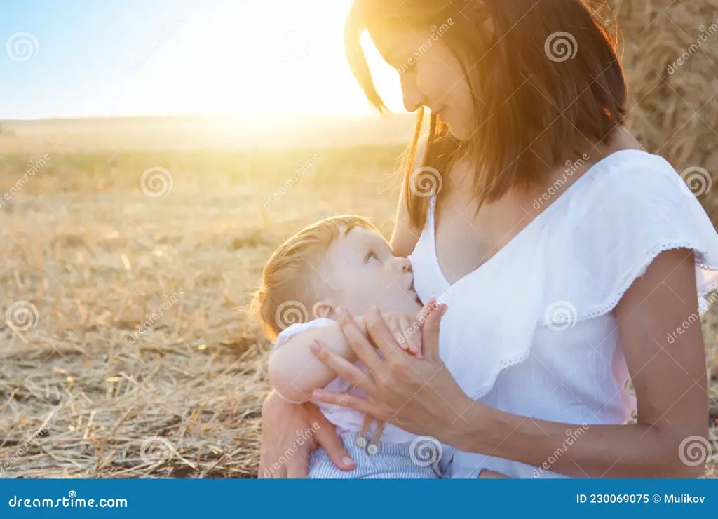 Ibu dan bayi yang bahagia sedang menyusui