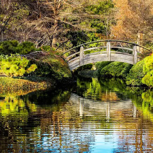 Taman Jepang yang melambangkan ketenangan