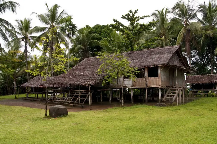 Rumah adat Papua yang unik