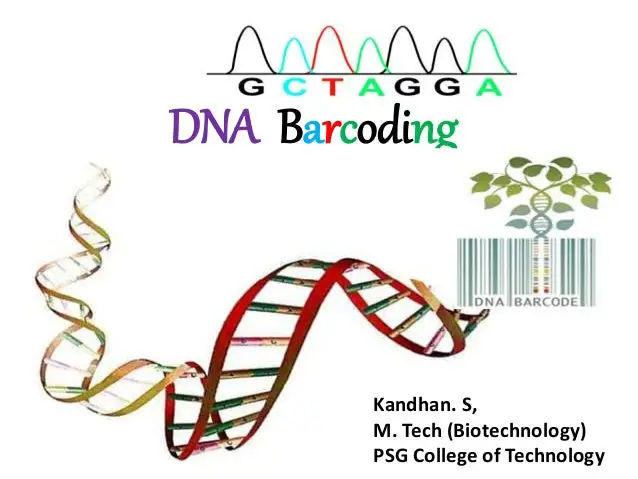 Ilustrasi barcode dengan kode ADN 184