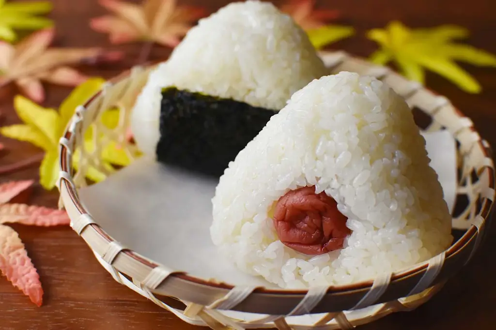 Berbagai macam makanan Jepang yang lezat