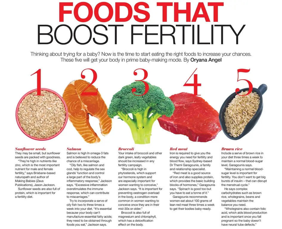 Makanan dan minuman untuk meningkatkan kesuburan