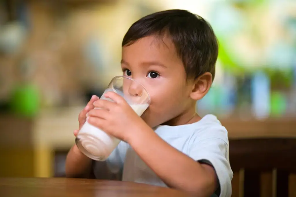 Anak kecil yang gembira minum susu