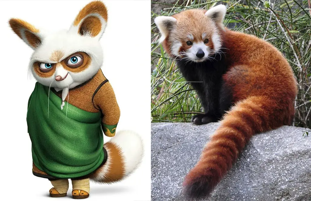 Gambar Master Shifu, guru Kung Fu Po yang bijaksana.