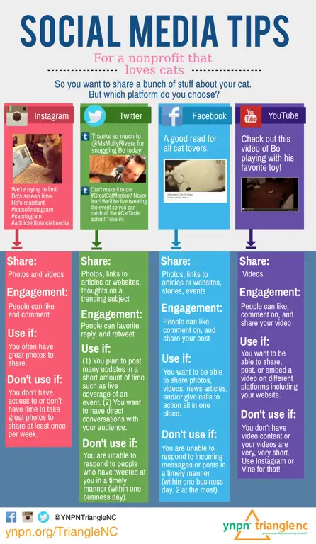 Infografis tentang penggunaan media sosial yang bertanggung jawab.