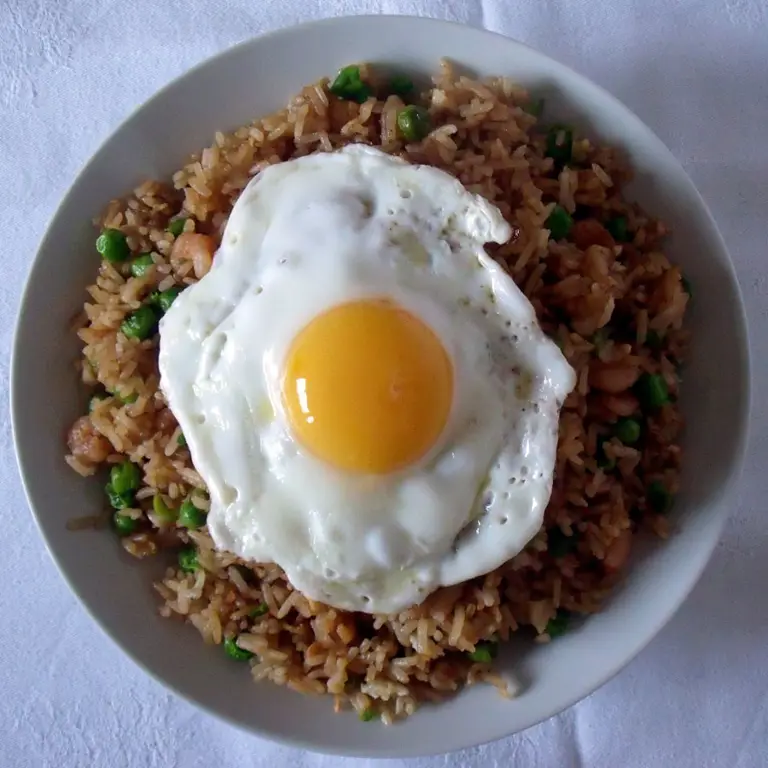 Gambar proses memasak nasi goreng