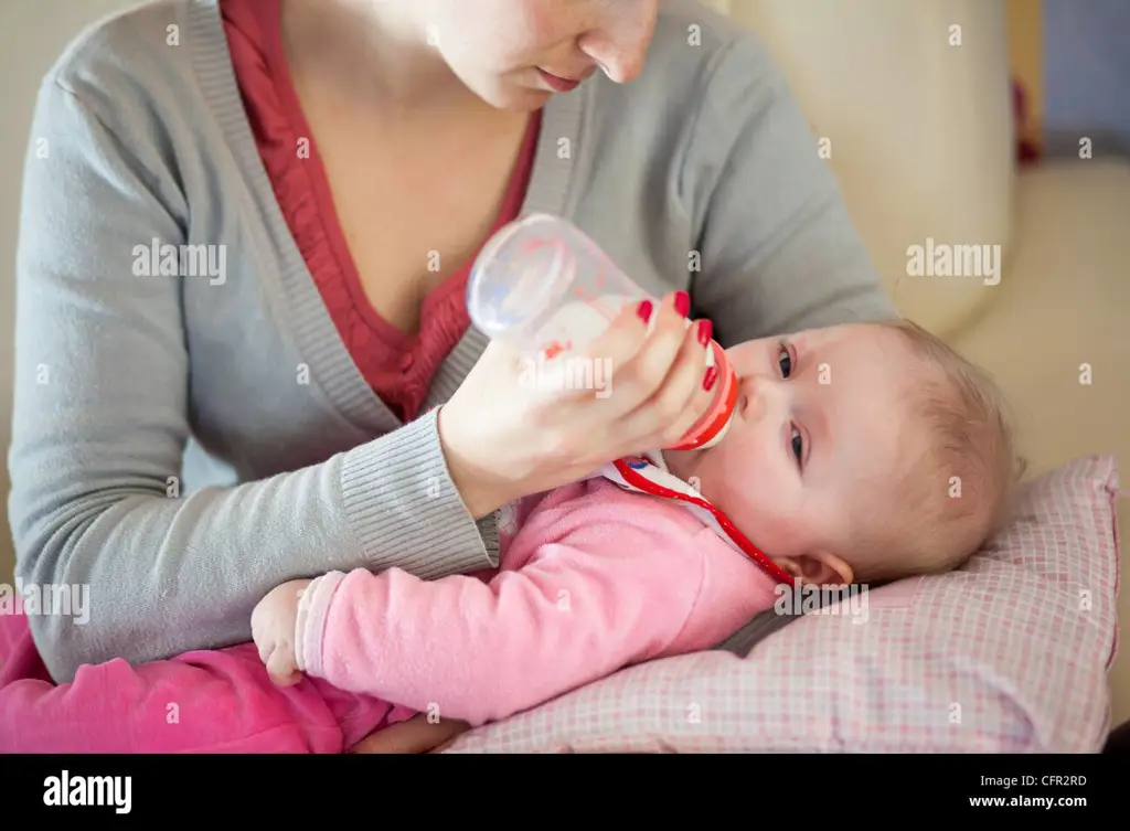 Ibu memberi susu formula kepada bayi