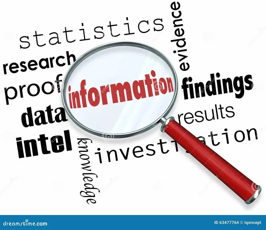 Seseorang sedang mencari informasi di database online