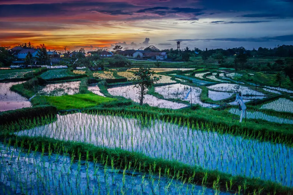 Pemandangan lembah dan matahari terbenam di Indonesia