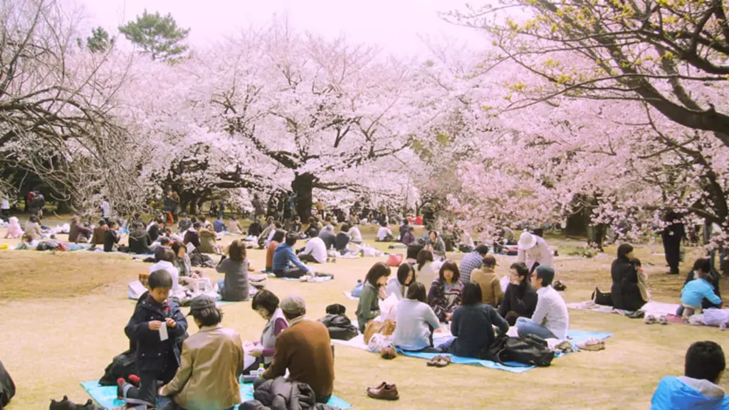 Piknik Hanami di Jepang