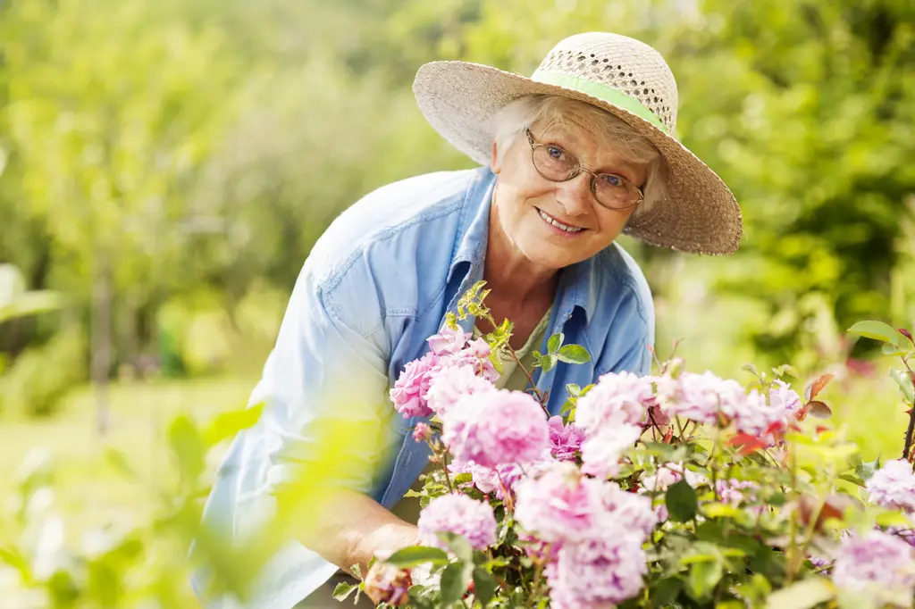 Gambar seorang nenek yang sedang berkebun dengan gembira