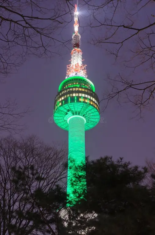 Pemandangan malam hari dari Menara N Seoul yang indah