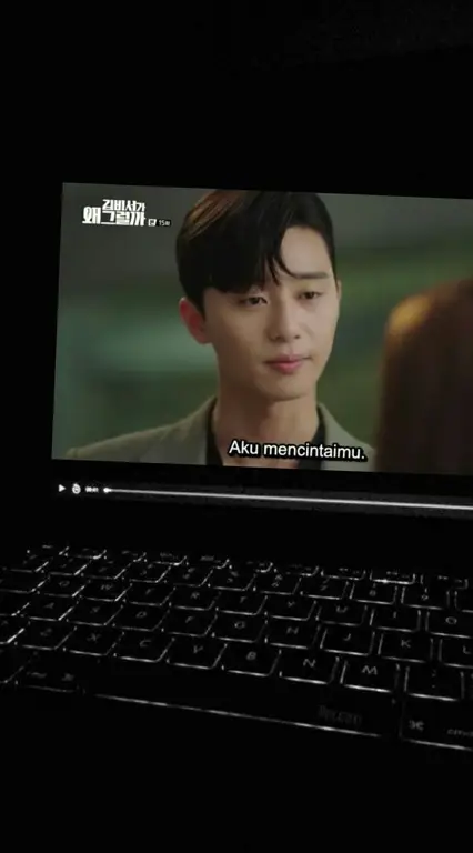 Seseorang menonton drama Korea di laptop