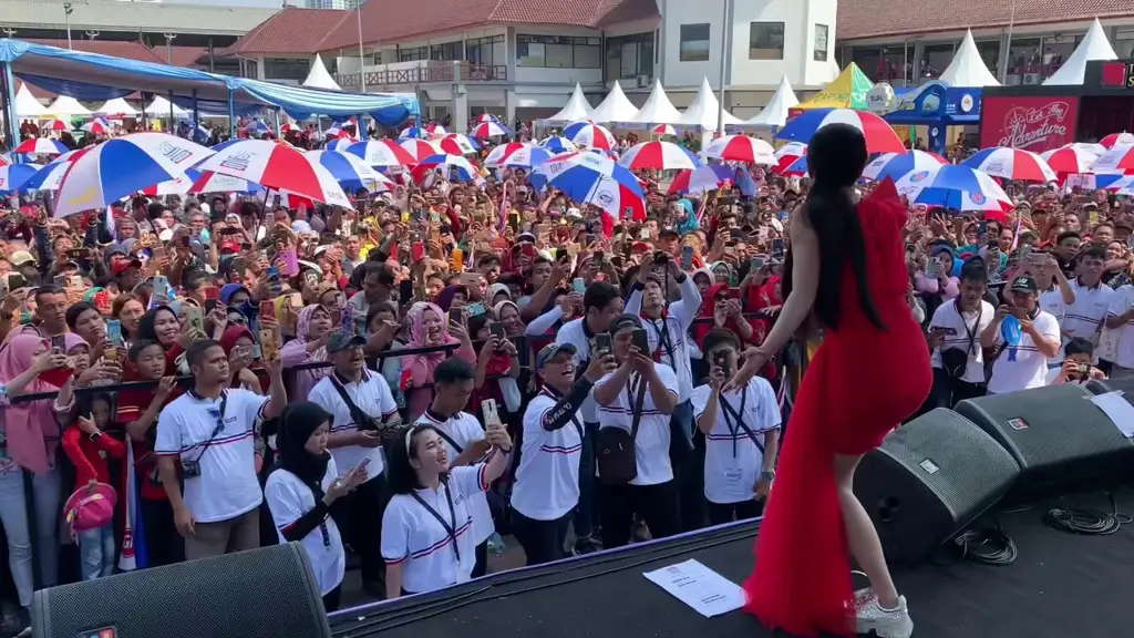 Dewi Persik sedang tampil di atas panggung