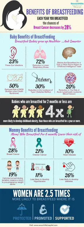 Infografis nutrisi untuk ibu menyusui