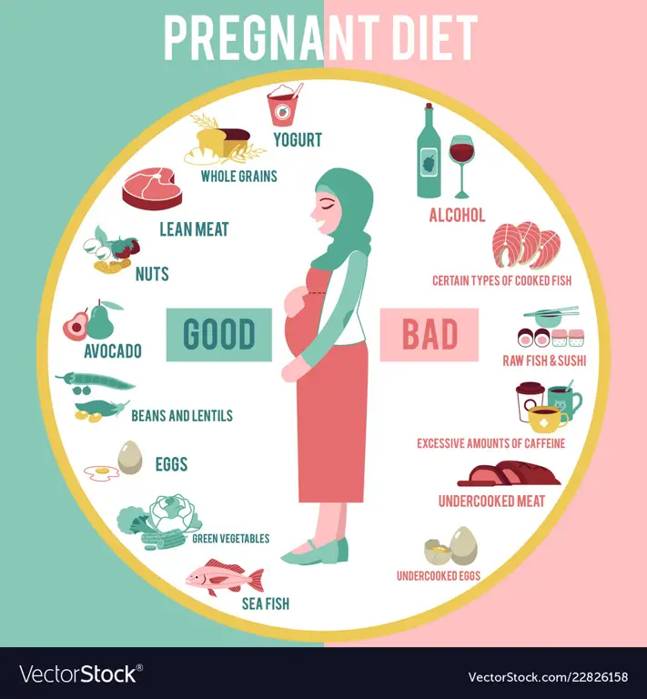 Makanan sehat untuk ibu hamil