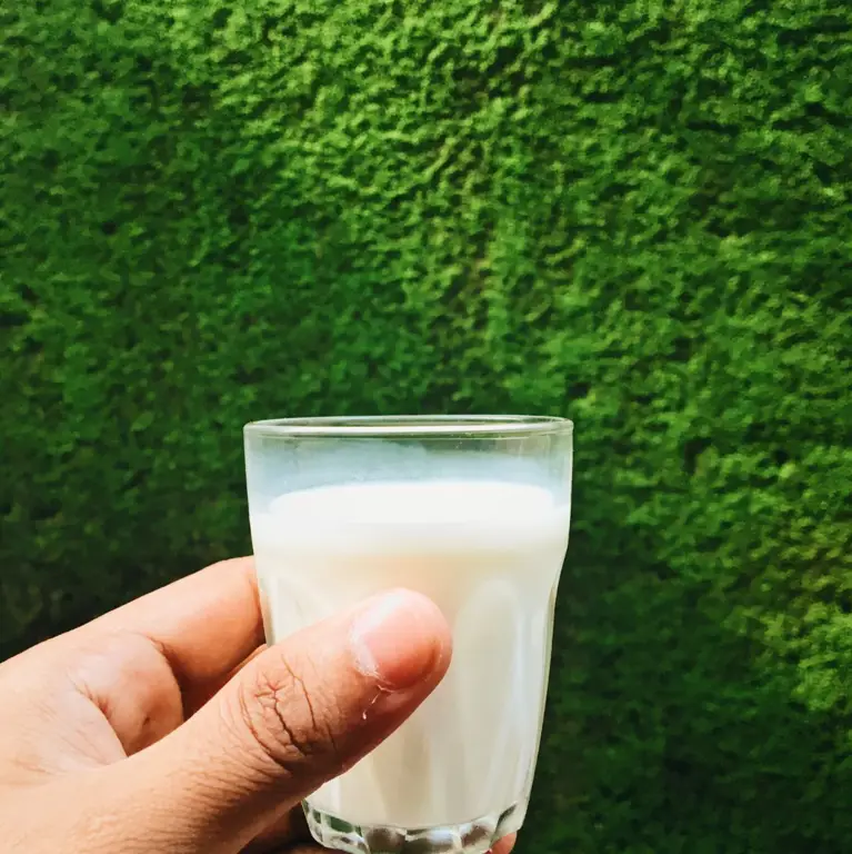 Tips memilih susu yang sehat dan bergizi