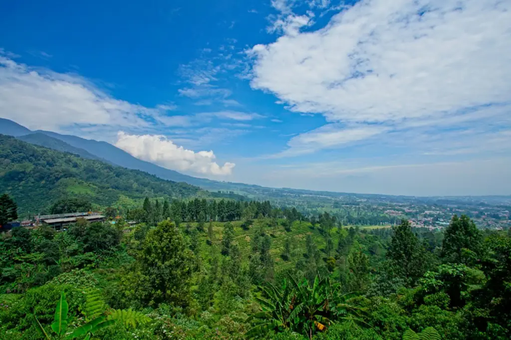 Pemandangan Gunung di Puncak