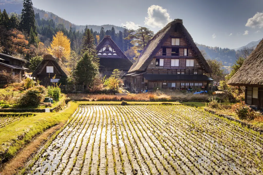 Foto pemandangan Jepang yang indah dan menenangkan