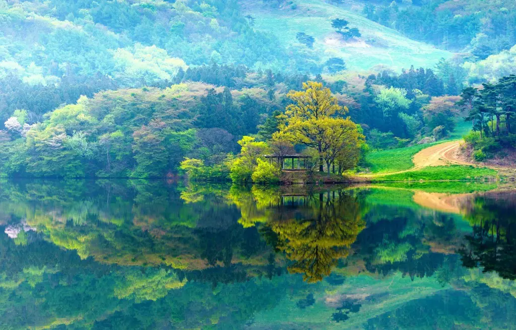 Gambar yang menampilkan pemandangan alam Korea Selatan yang indah, seperti pegunungan, pantai, dan pedesaan.