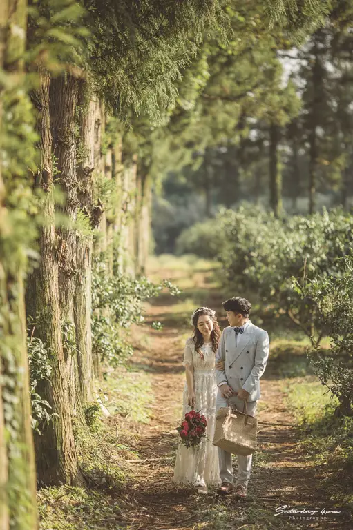 Pemandangan alam Korea yang indah untuk pemotretan pra-pernikahan