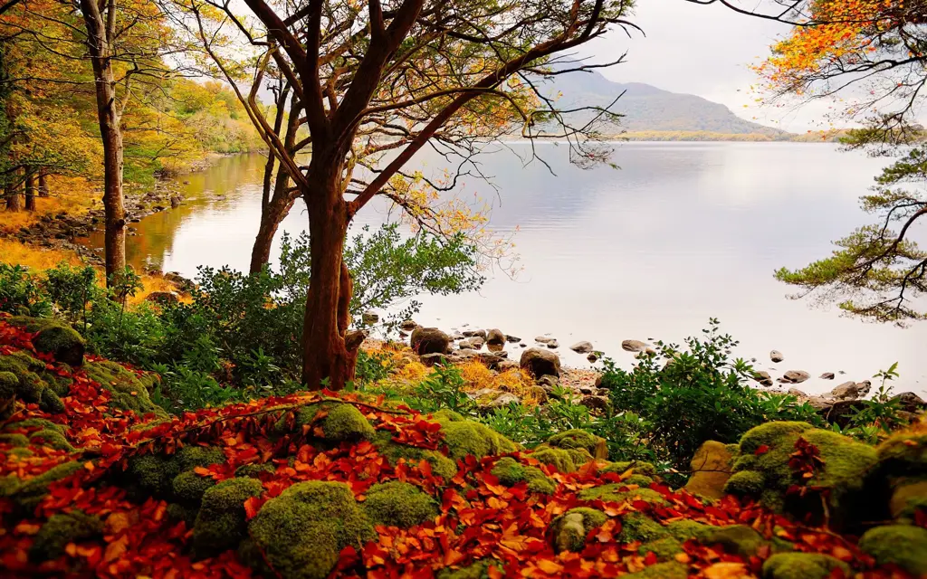 Foto pemandangan alam yang indah