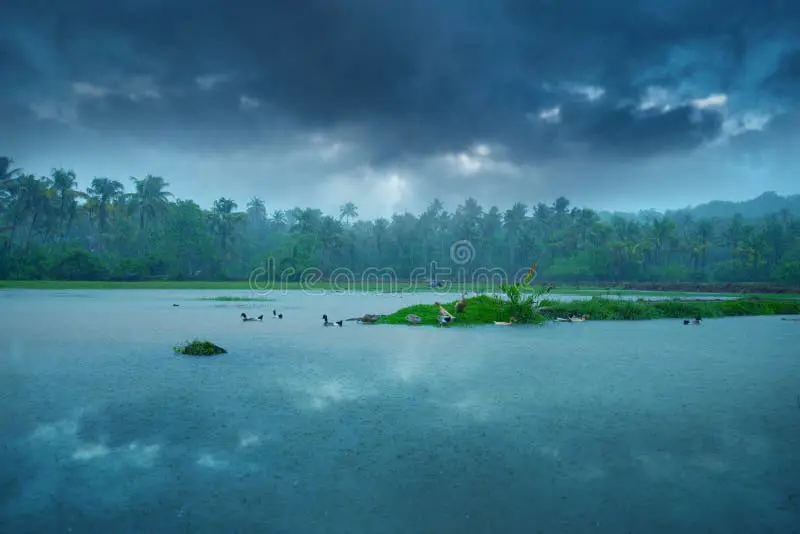 Gambar pemandangan hari hujan yang tenang