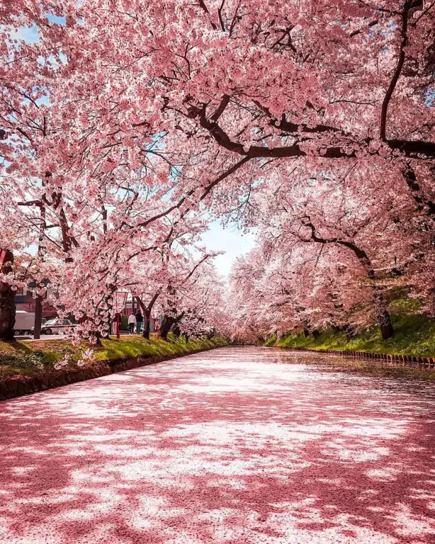 Pemandangan Jepang yang indah