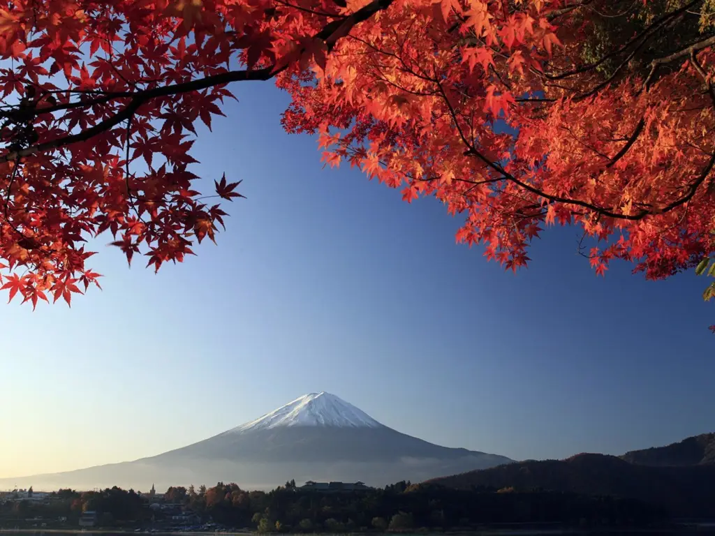 Foto pemandangan alam Jepang yang indah