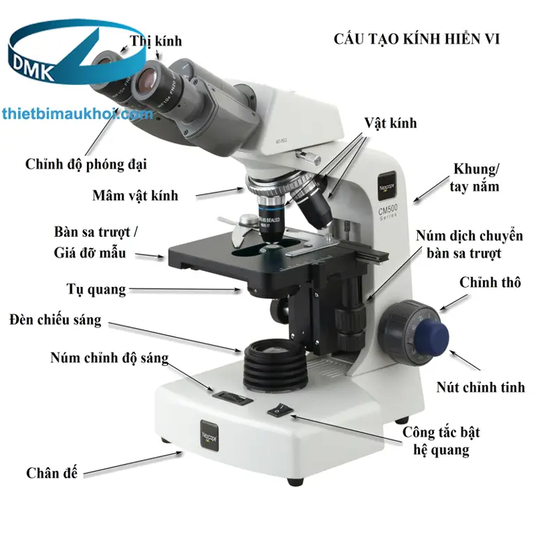 Gambar mikroskop di laboratorium penelitian