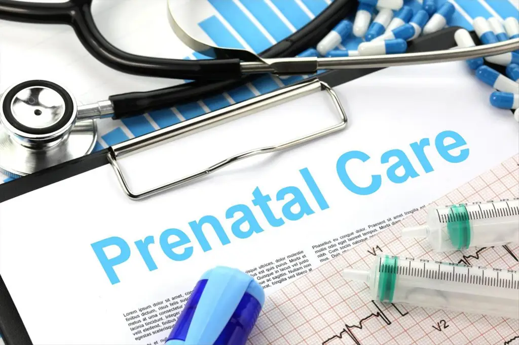 Perawatan prenatal