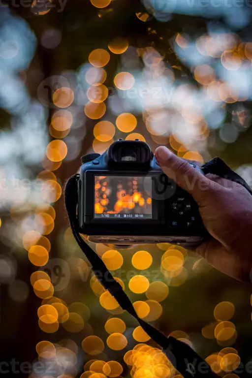 Kamera profesional yang menghasilkan efek bokeh