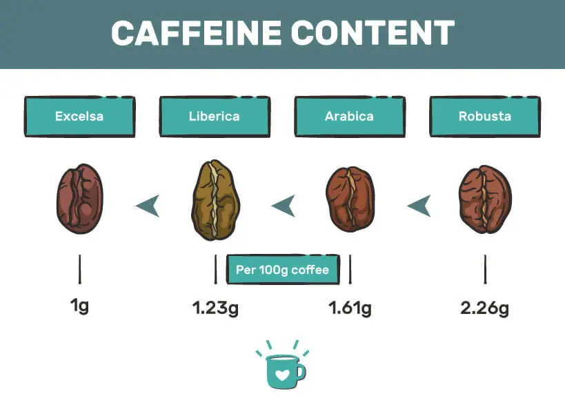 Grafik perbandingan biji kopi