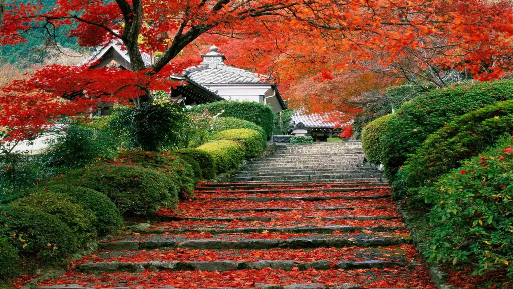 Foto-foto pemandangan Jepang yang menakjubkan