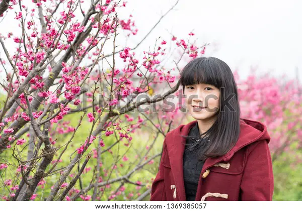 Wanita Jepang cantik di tengah bunga sakura