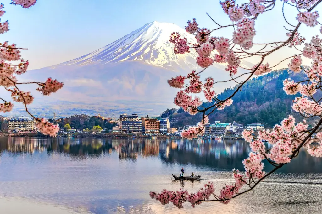 Gambar bokeh bunga sakura di Jepang