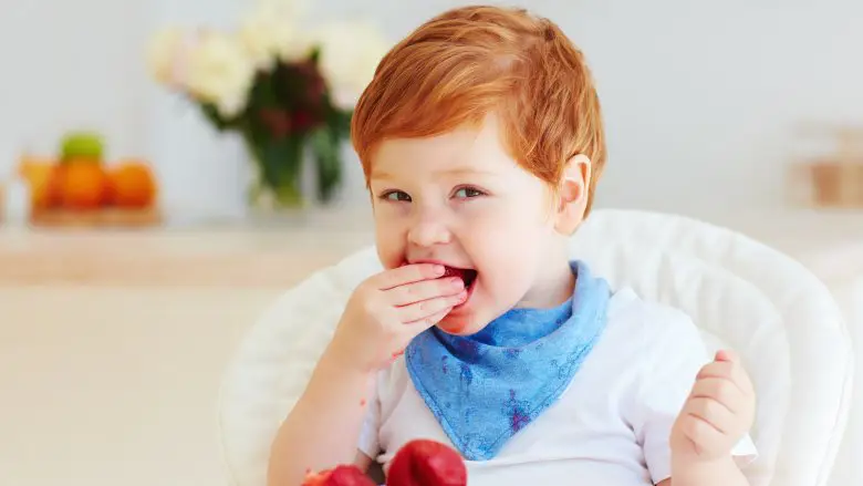 Aneka buah untuk perkembangan otak bayi